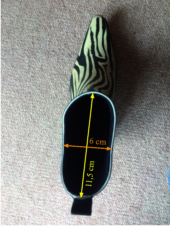 Woman's Zebra Pointed Toe Booties Nicepairs