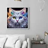 Diamond Painting-DIY Crystal Rhinestone Cat