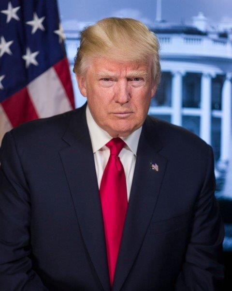 DONALD TRUMP President Official Portrait 8 x 10 Photo Poster painting Print Poster USA