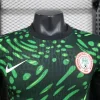 2024 Player Nigeria Soccer Jersey
