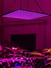 45W 225 LED Grow Lamp Red Blue LED Indoor Grow Lights Full Spectrum Plant Lamp