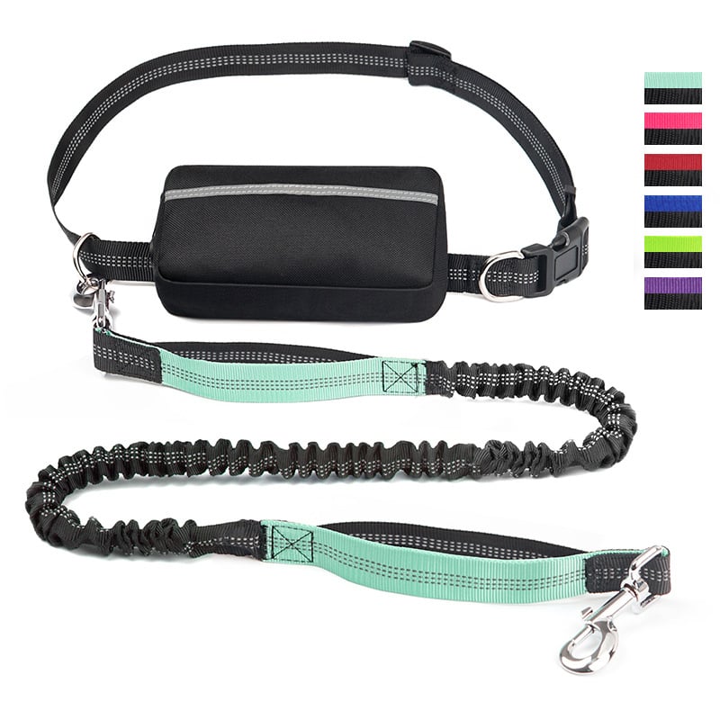 Hands Free Dog Leash