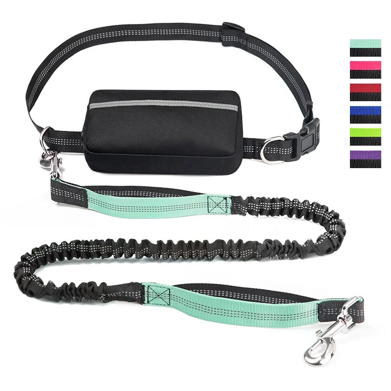 Hands Free Dog Leash