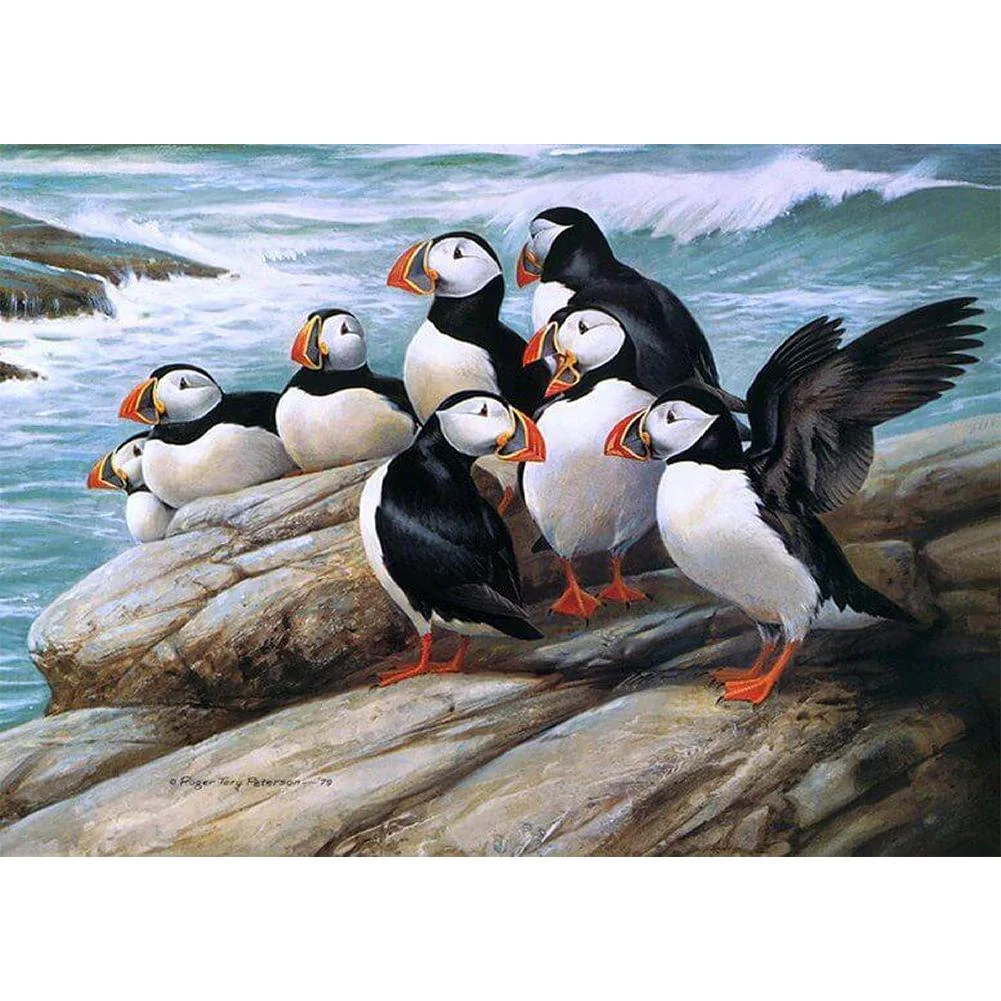 Full Round Diamond Painting Puffin (40*30cm)
