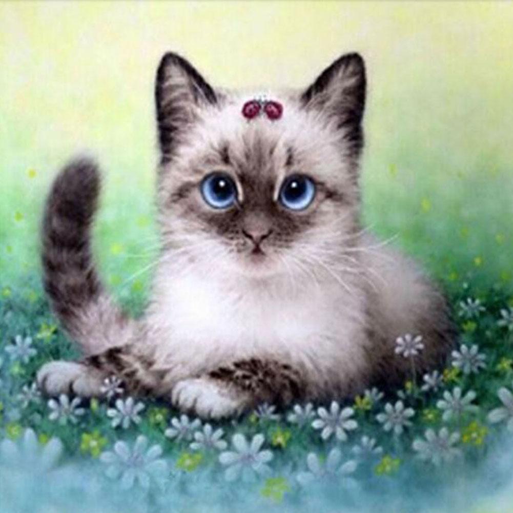 Алмазная мозаика сиамский кот