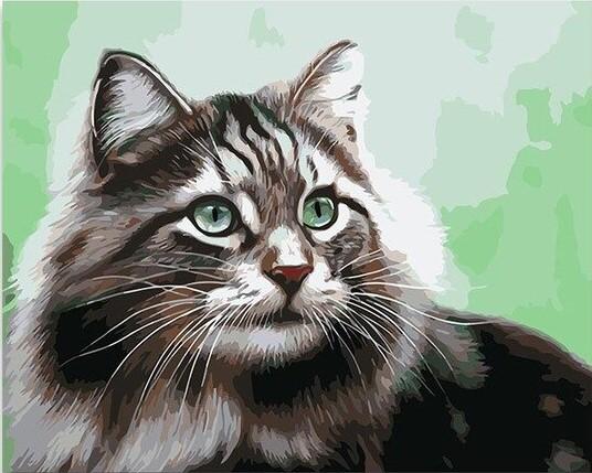 

Adorable Cat – Paint By Numbers - 40*50CM, 501 Original