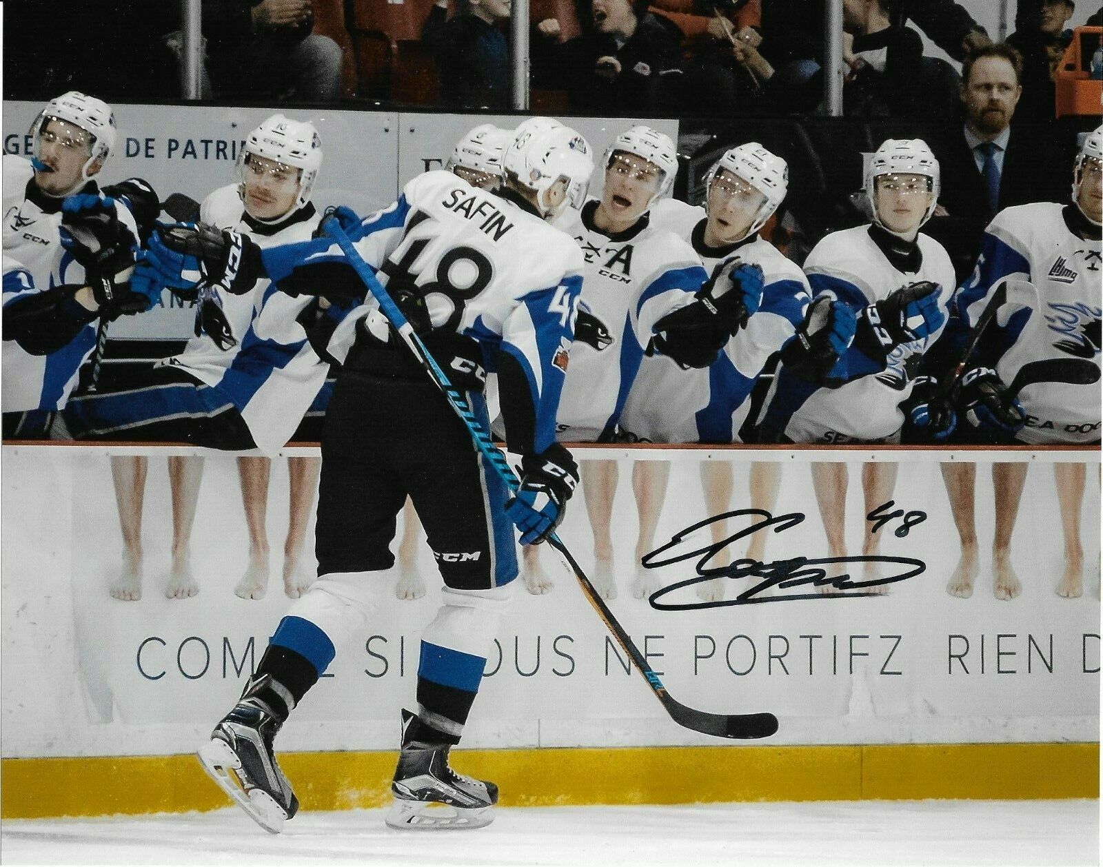 Saint John Sea Dogs Ostap Safin Signed Autographed 8x10 NHL Photo Poster painting COA