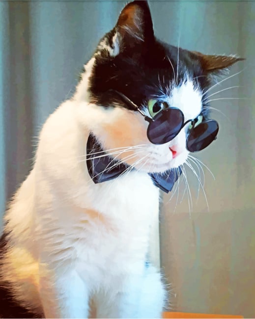 

Cat With Black Sunglasses – Paint By Numbers - 40*50CM, 501 Original