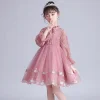 Kid Girls Embriodery Flower  Princess Tutu Birthday Party Dresses