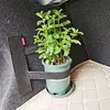 Car Trunk Elastic Fixed Straps Extinguisher Storage Fixing Belt Tapes (Large)