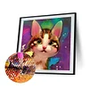 Diamond Painting -DIY Round Drill Cat