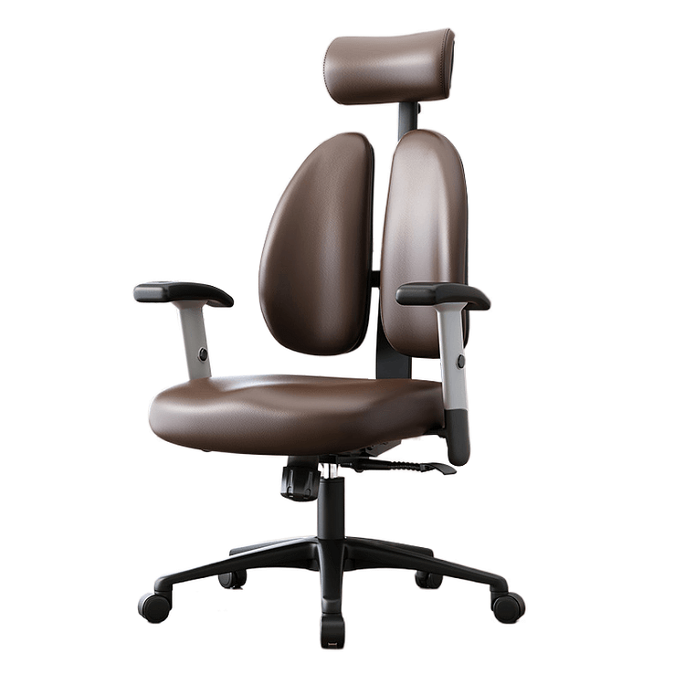 H-08A Twin Back Ergonomic Chair 