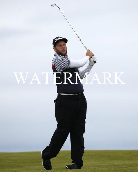 ANDREW Beef JOHNSTON Golf Glossy 8 x 10 Photo Poster painting Poster