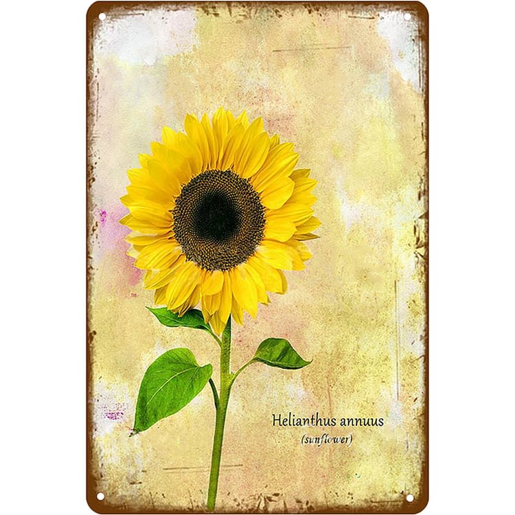 Sunflower - Vintage Tin Signs/Wooden Signs - 7.9x11.8in & 11.8x15.7in