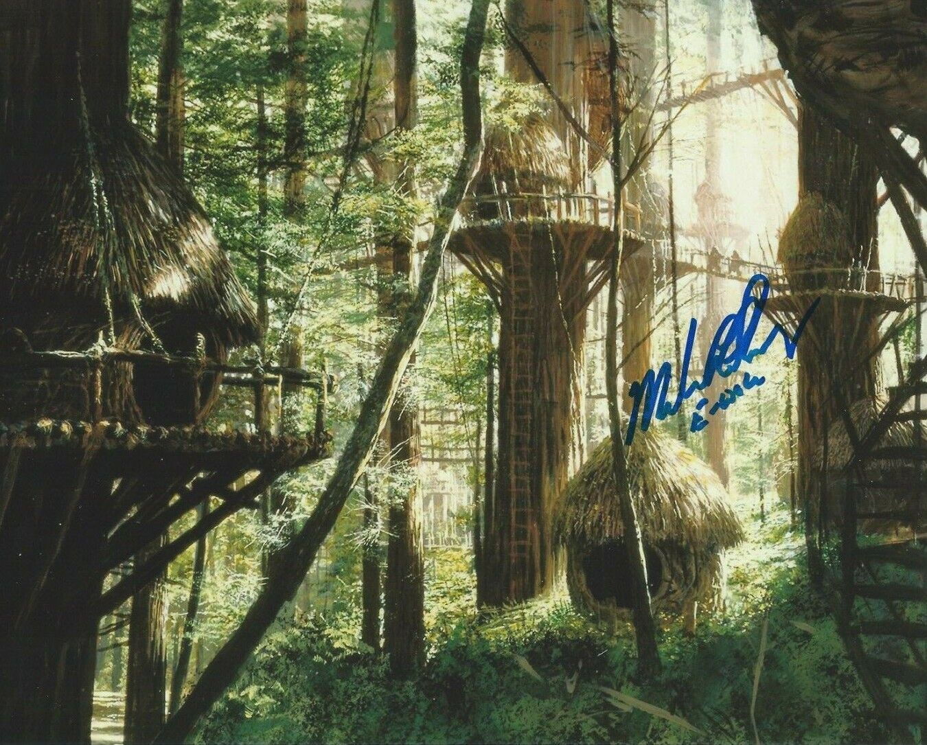 Photo Poster painting - Michael Henbury in person signed autograph - Star Wars - Ewok - K390