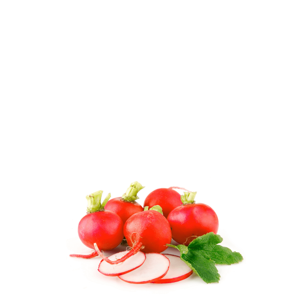 Heirloom Radish Seeds &ndash; Crimson Giant | Large, Round & Juicy Red Roots