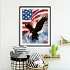 Drapeau Aigle Complète Carré Diamant Peinture 20X30CM
