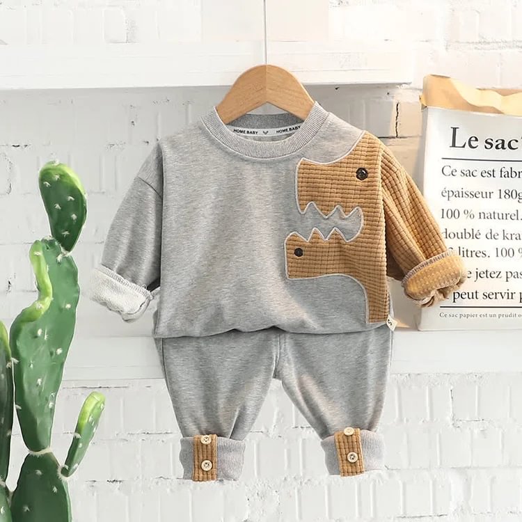 Baby Toddler Embroidered Dinosaur 2 Pieces Set
