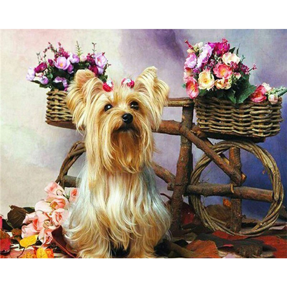 

Yorkshire Terrier - Round Drill Diamond Painting - 40*30CM, 501 Original