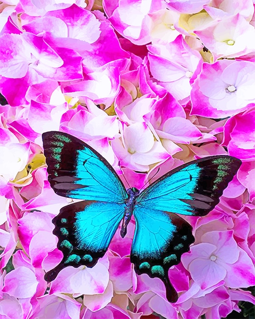 

Gorgeous Blue Butterfly – Paint By Numbers - 40*50CM, 501 Original