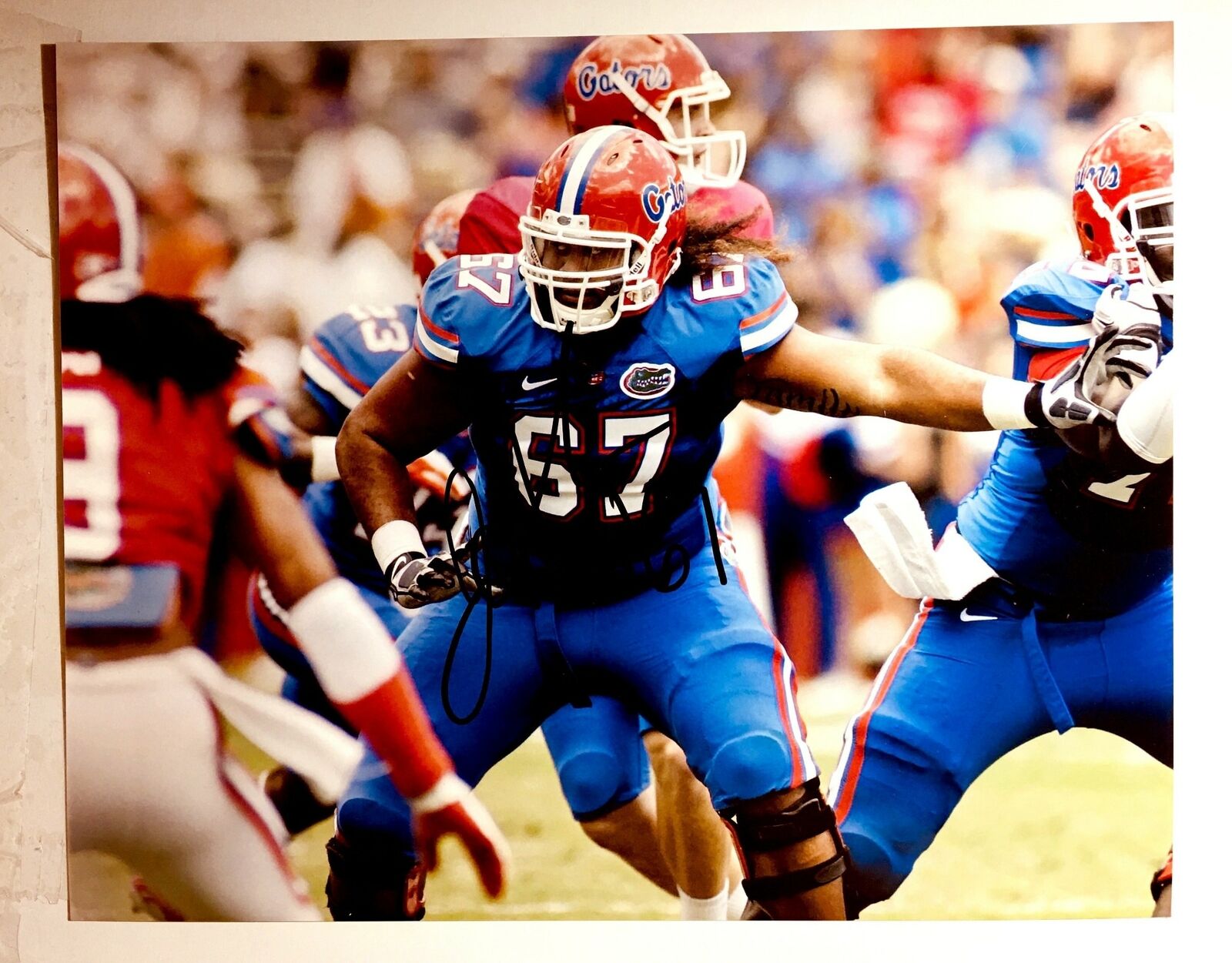 Jon Halapio Signed 8x10 Photo Poster painting Florida Gators Auto Autograph