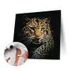 uk.everydayedeals (Limited Stock)Paint By Number - Oil Painting -  Leopard (40*40Cm)