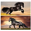 2 stücke galoppierendes pferd partielle ab-bohrer volle runde dimond gemälde 33,46 x 17,72 zoll