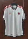 2022 FIFA World Cup Wales Away Football Shirt
