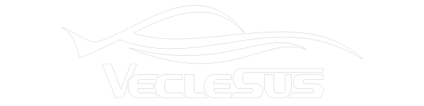 backup cameras | rear view camera systems | car backup cameras | wireless backup cameras | VECLESUS