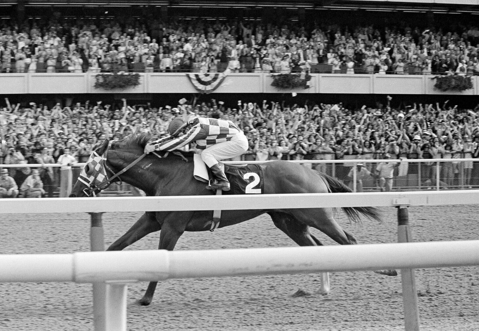 1973 Ron Turcotte SECRETARIAT Belmont stakes Horse Racing 8x10 Photo Poster painting TripleCrown