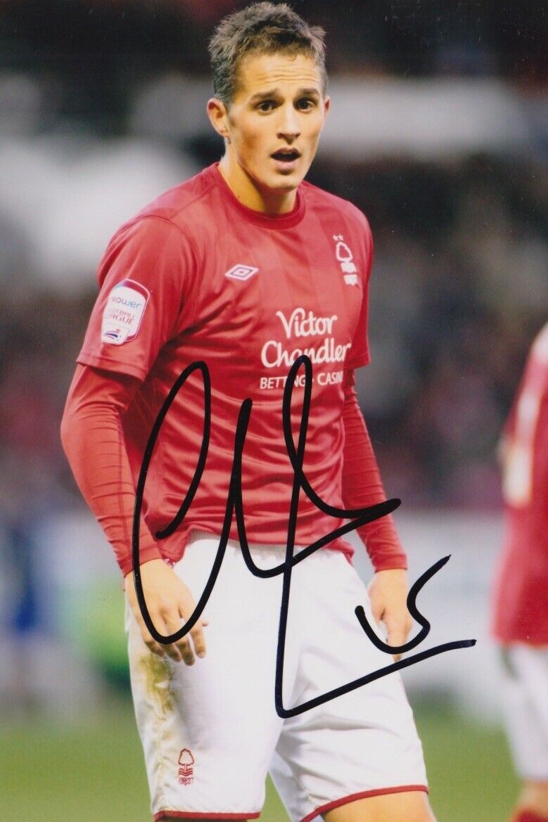 CHRIS COHEN HAND SIGNED 6X4 Photo Poster painting - FOOTBALL AUTOGRAPH - NOTTINGHAM FOREST.