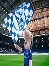 Schalke 04 Erwin - runder Bohrer Diamond Painting - 40*30cm