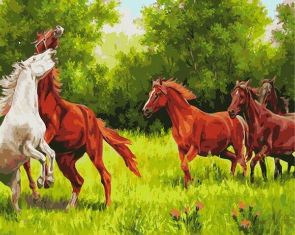 

White Brown Horses – Paint By Numbers - 40*50CM, 501 Original
