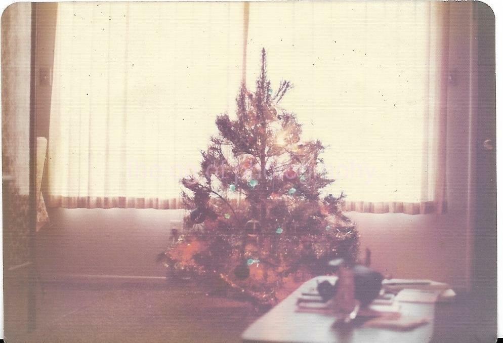 Christmas Tree FOUND Photo Poster painting ColorOriginal Snapshot VINTAGE 05 9 N