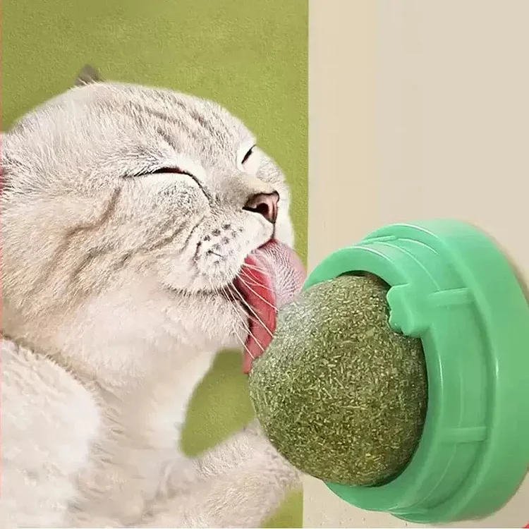 Rotatable health nutrition ball for cleaning teeth and protecting teeth, a new choice for pet products