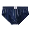 Men's Briefs Seamless Triangle Panties Ice Silk Low Waist Fast Dry Shorts Men Comfortable Sexy Underpants
