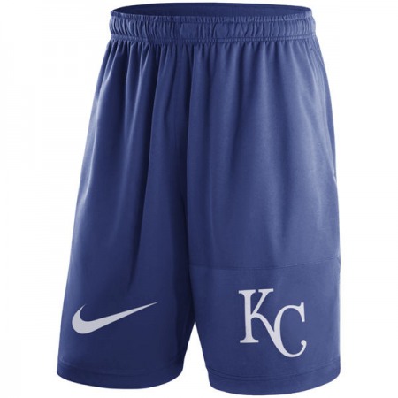 Men's Kansas City Royals  Royal Dry Fly Shorts