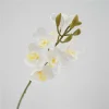 Real Touch Stem Cymbidium Orchid Artificial Flower
