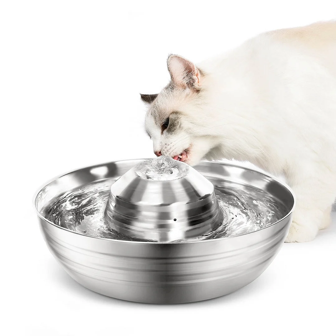 Cat Water Fountain Stainless Steel