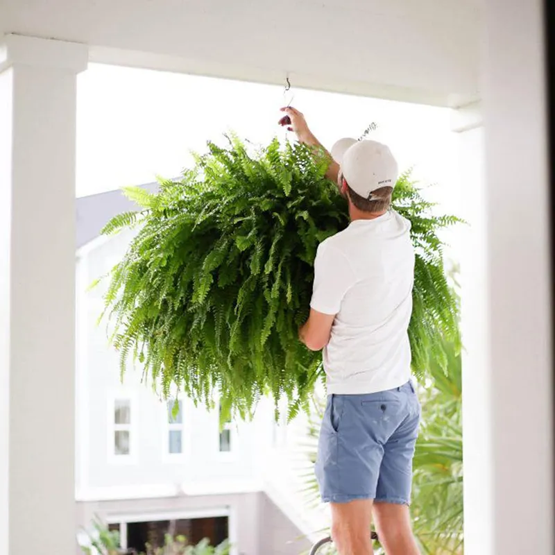 🔥Last Day BUY 1 GET 1 FREE (2 PCS)🔥48Inch Large UV Artificial Ferns for Outdoors--No watering. No fading