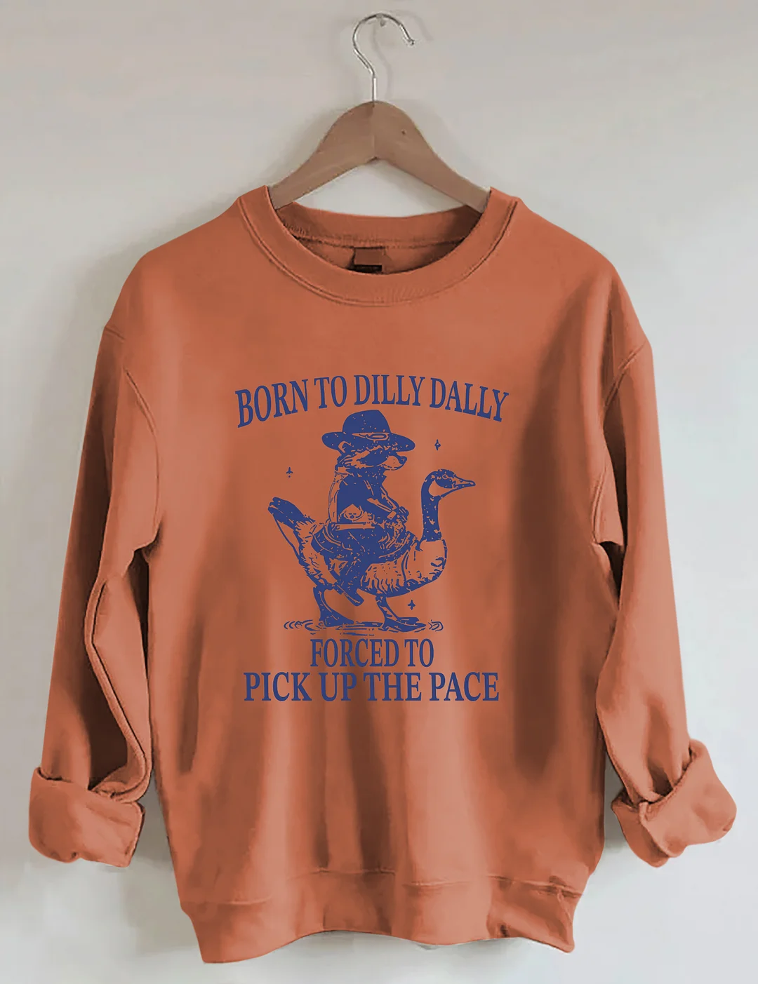 Born To Dilly Dally Forced To Pick Up The Pace Goose Raccoon Sweatshirt