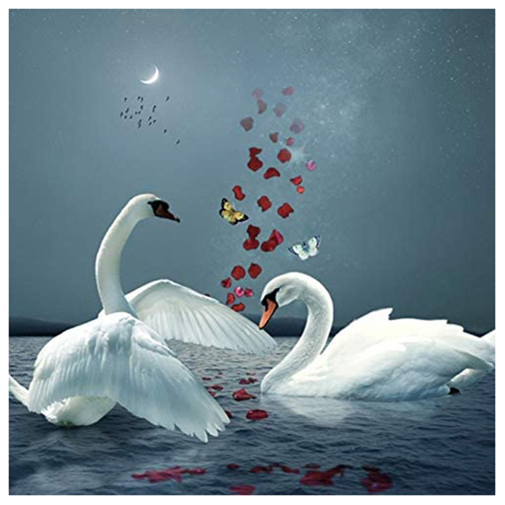 

40*40CM - Round Drill Diamond Painting - Swan, 501 Original