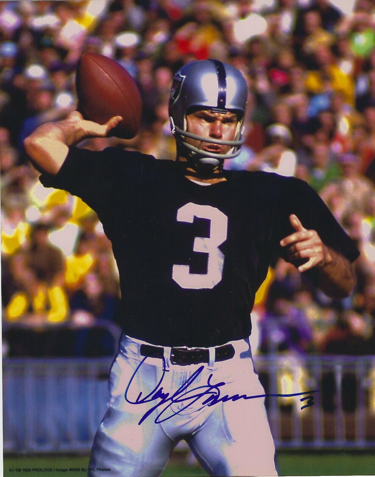 Autographed DARYLE LAMONICA Oakland Raiders 8x10 Photo Poster painting w/COA