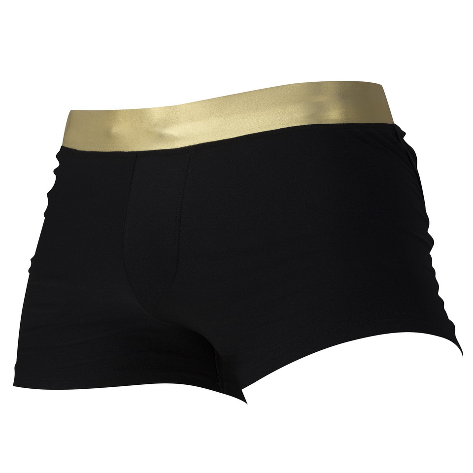 Men's Golden Sliver Surf Swim Brief