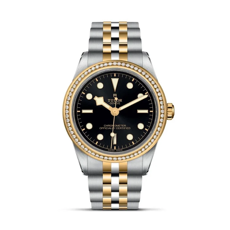 TUDOR Black Bay 39 S&G Steel and Yellow Gold