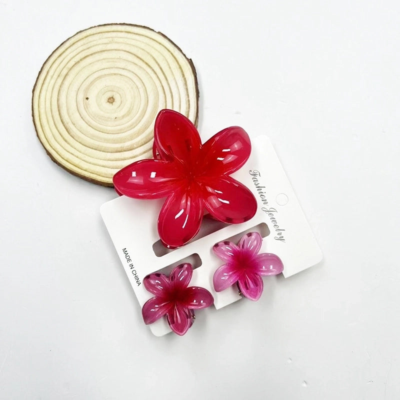 Vacation Modern Style Women’s Flower Resin Hair Claws