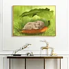 uk.everydayedeals (Limited Stock)Diamond Painting - Full Square - Sleeping Rabbit(40*50cm)