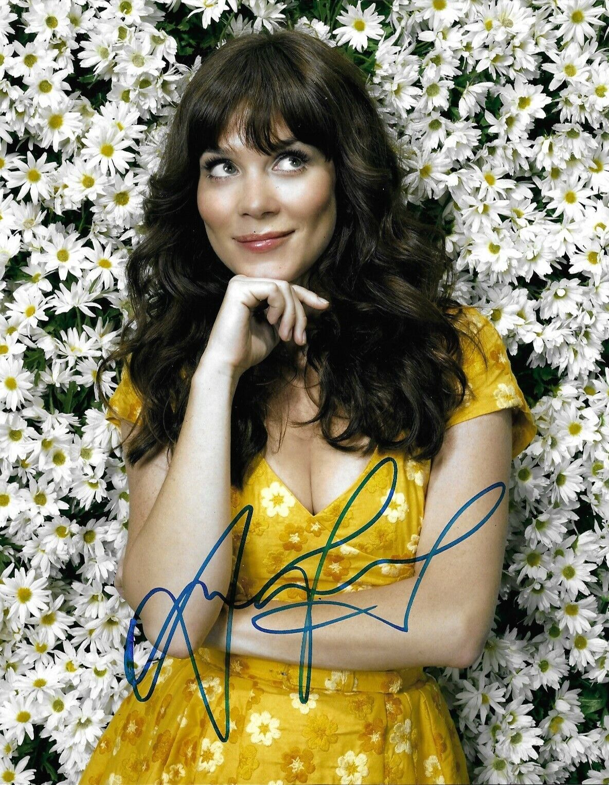 Anna Friel Signed Pushing Daisies 10x8 Photo Poster painting AFTAL