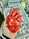 Heart model hand-made brain model hand-made original hand-made cos photo props Halloween decorations