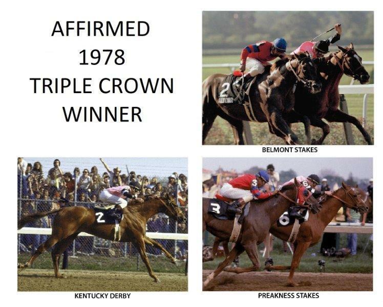 AFFIRMED 1978 Kentucky Derby Champion Triple Crown Horse Racing 8 x 10 Photo Poster painting